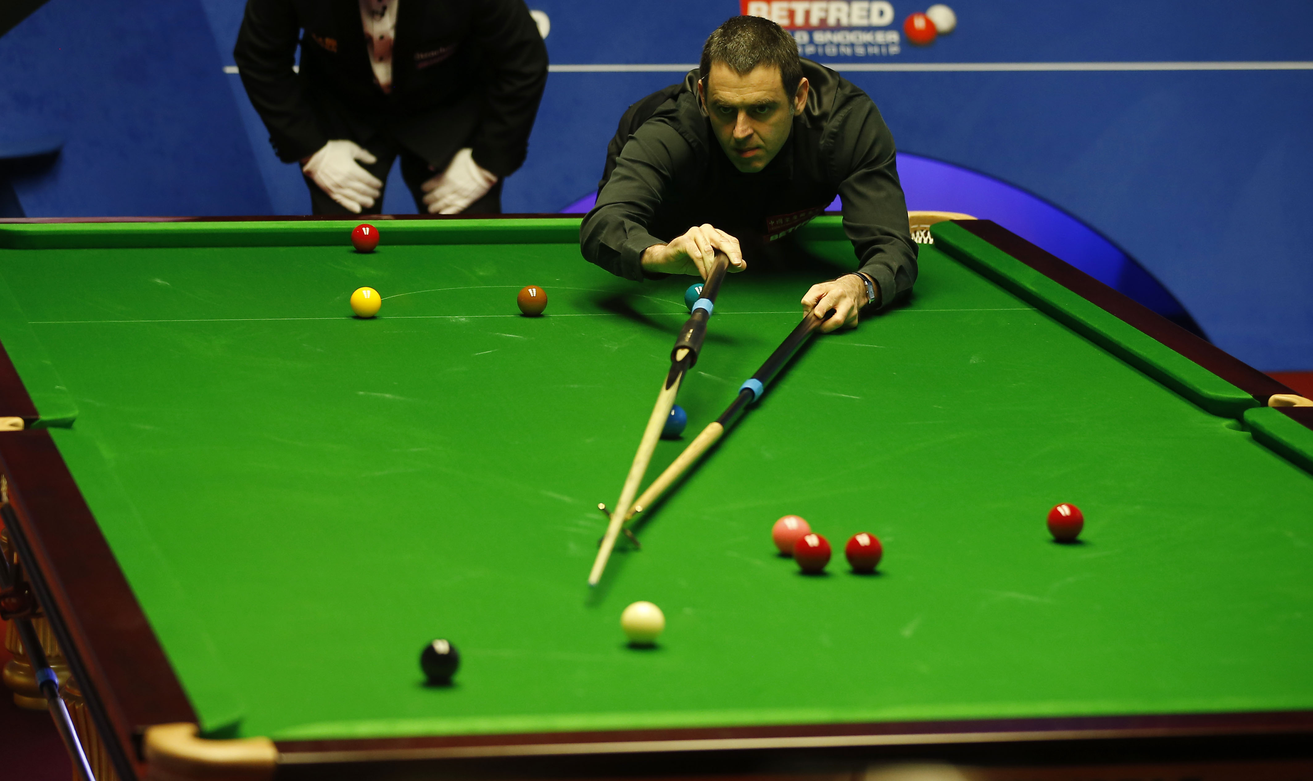 在上周举行 在上周举行